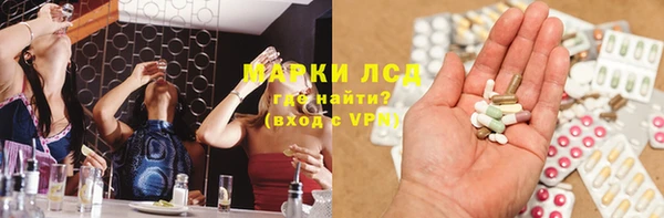 ПСИЛОЦИБИНОВЫЕ ГРИБЫ Заводоуковск