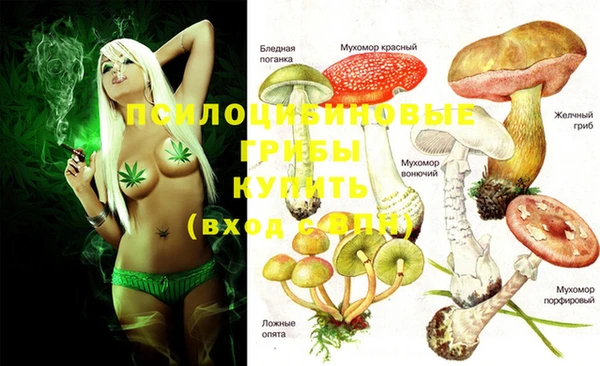 молекула духа Заволжье