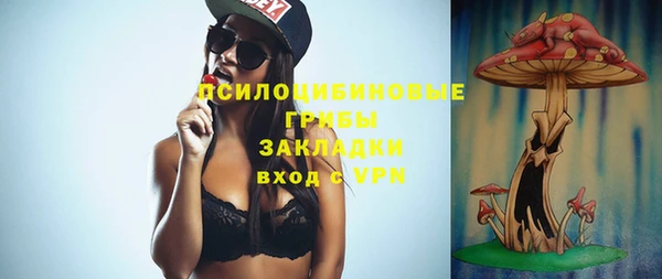 молекула духа Заволжье