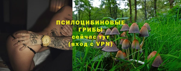 мдпв Зерноград