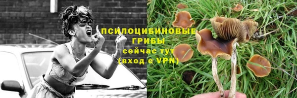 молекула духа Заволжье