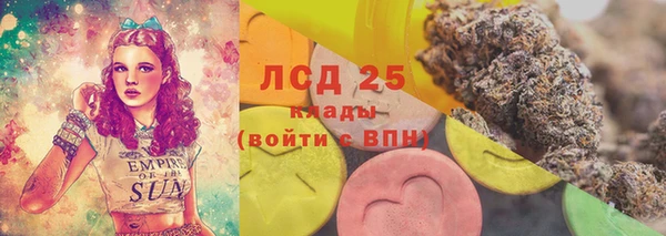 ПСИЛОЦИБИНОВЫЕ ГРИБЫ Заводоуковск