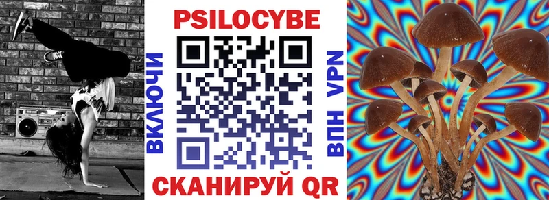 Псилоцибиновые грибы GOLDEN TEACHER  мориарти формула  Новомосковск  закладки 